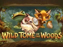 Wild Tome of The Woods