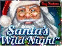 Santa’s Wild Night